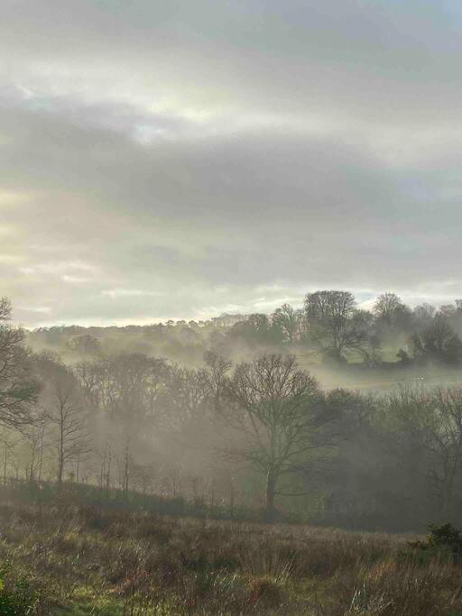 Drakes Mead Retreat - Shepherd's Hut Chalet *